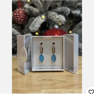 Elegant Blue Drop Earrings